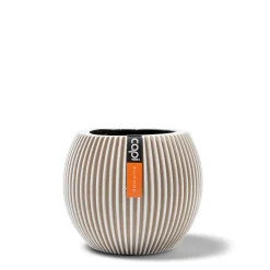 Vaas bol Groove 21x19