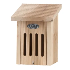 Vlinderkast in cadeaudoos