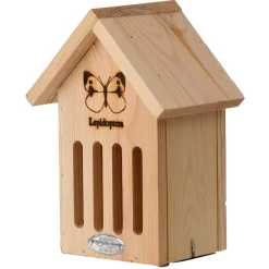 Vlinderkast silhouet