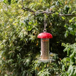 Voedersilo vliegenzwam