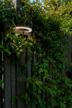 Vyzor solar wandlamp