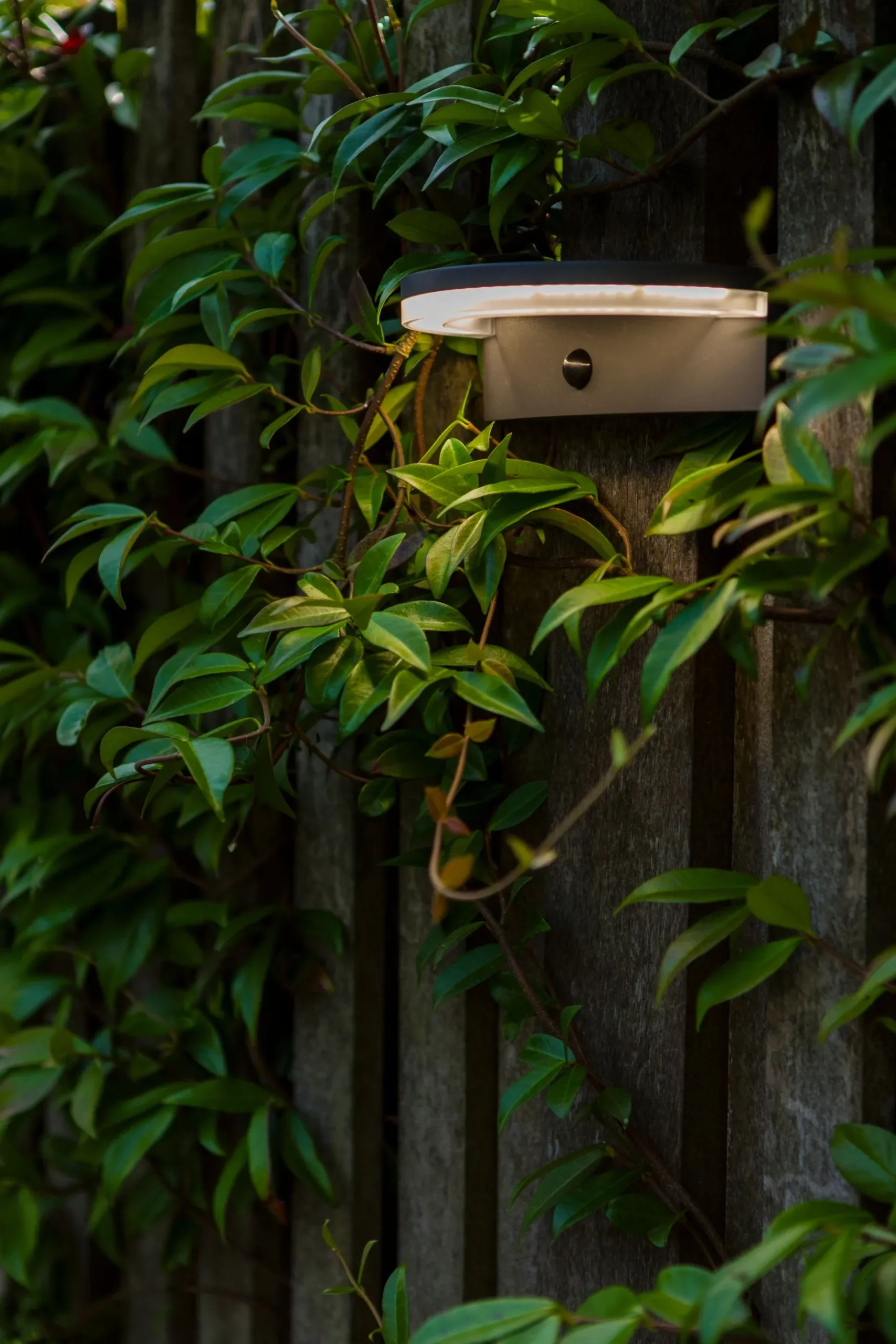 Vyzor solar wandlamp