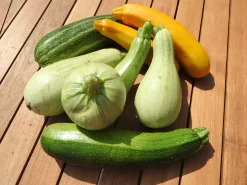 Zaden: courgette mengeling