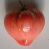 Zaden: tomaat coeur de boeuf rose