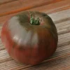 Zaden: tomaat noire russe charboneuse